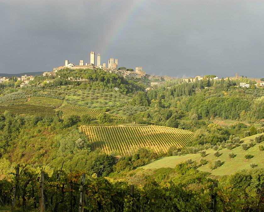 Fontaleoni Vernaccia San Gimignano Fontaleoni Vernaccia San Gimignano